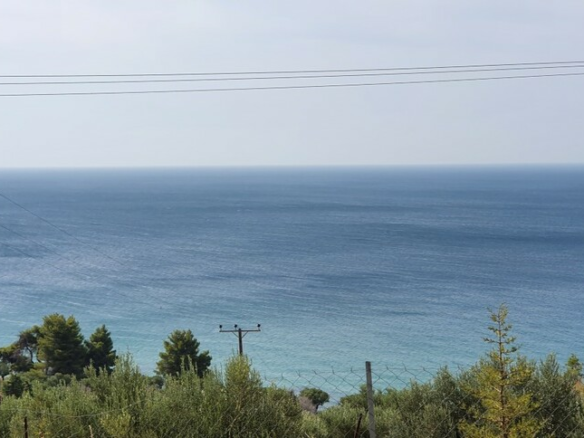 Land In Kassandra, Greece