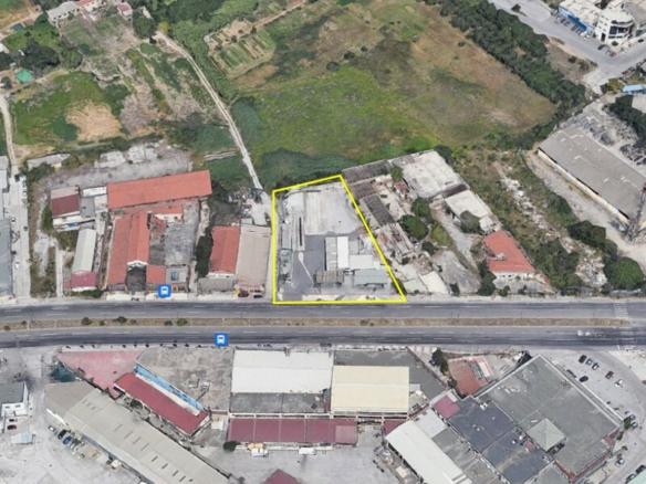 Land In Sfageia – Ichthyoskala, Greece