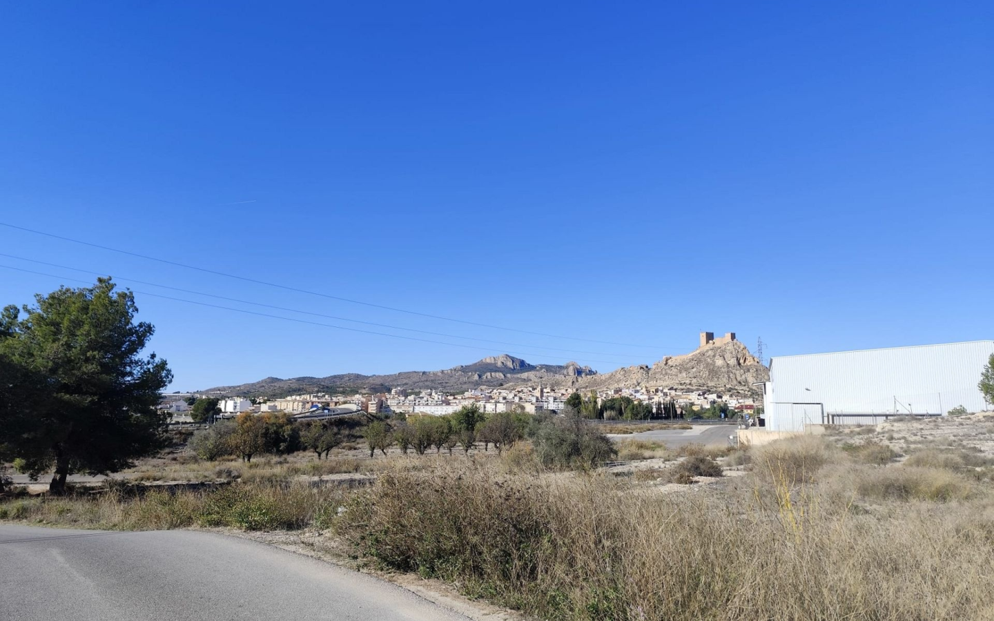Commercial In Sax, Spain (594 M²)