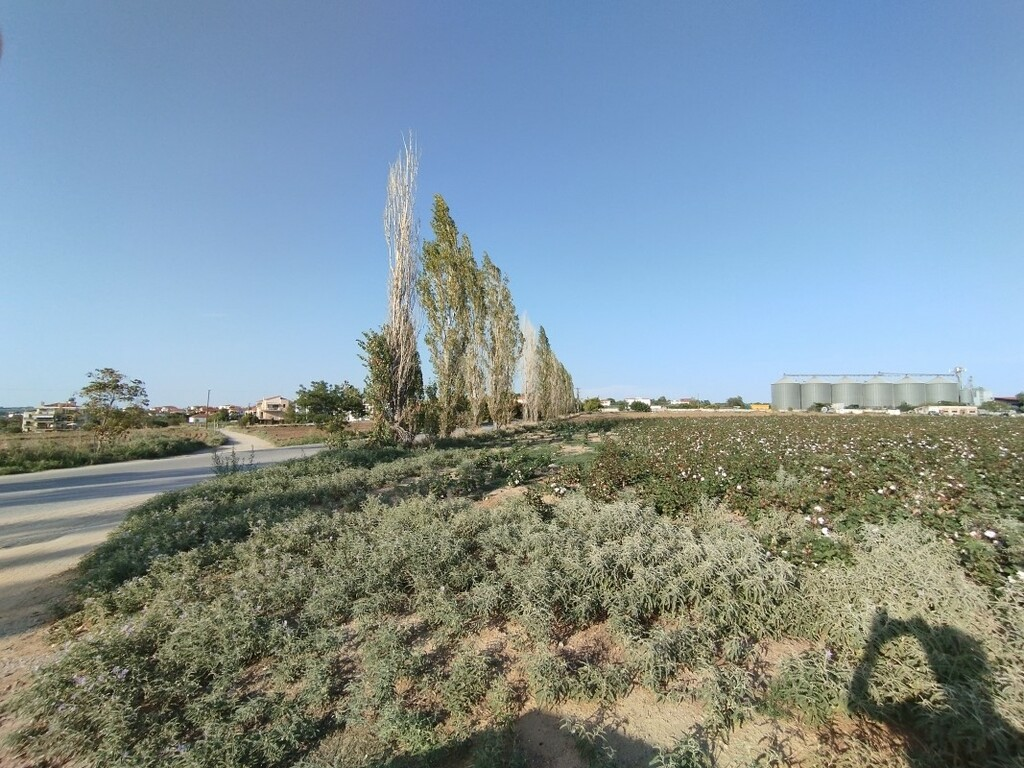 Land In Epanomi, Greece