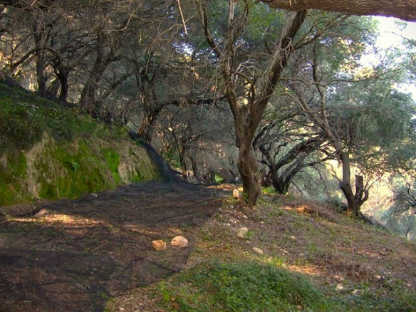 Land In Corfu, Greece