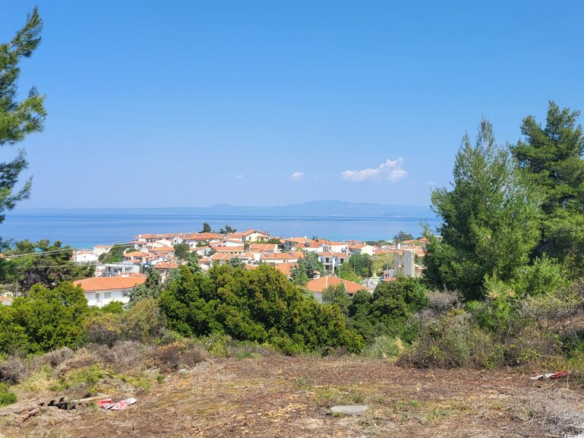 Land In Kassandra, Greece