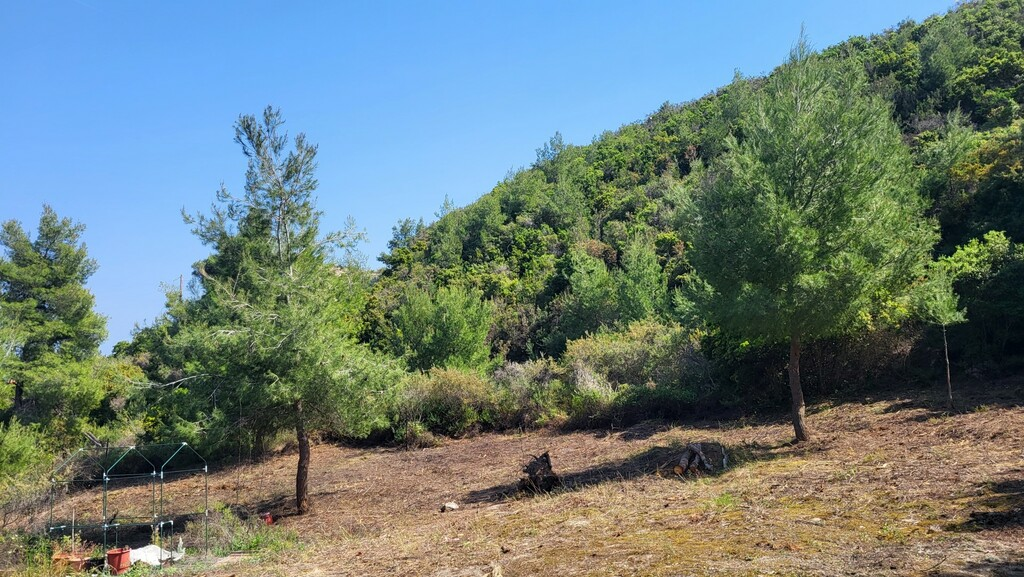 Land In Kassandra, Greece