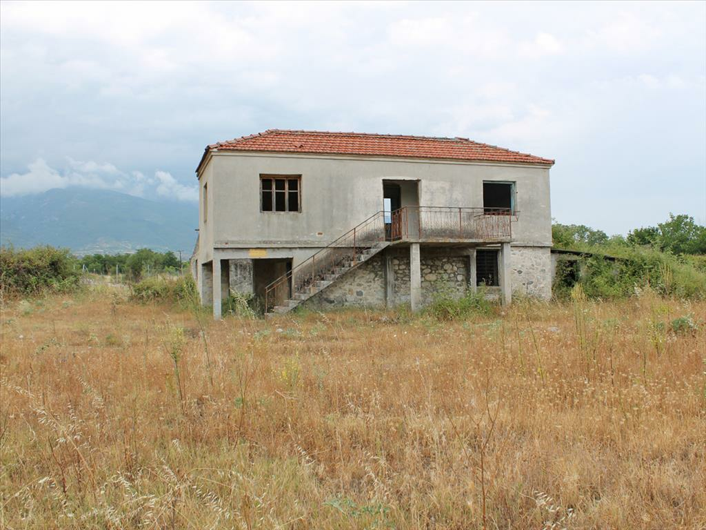 Land In Easts Olimpos, Greece