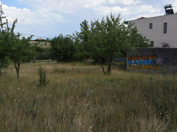Land In Panorama, Greece