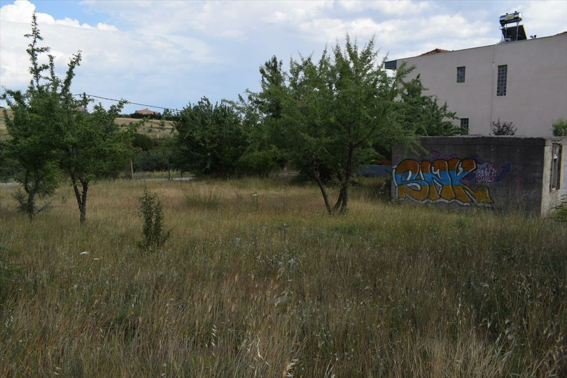 Land In Panorama, Greece