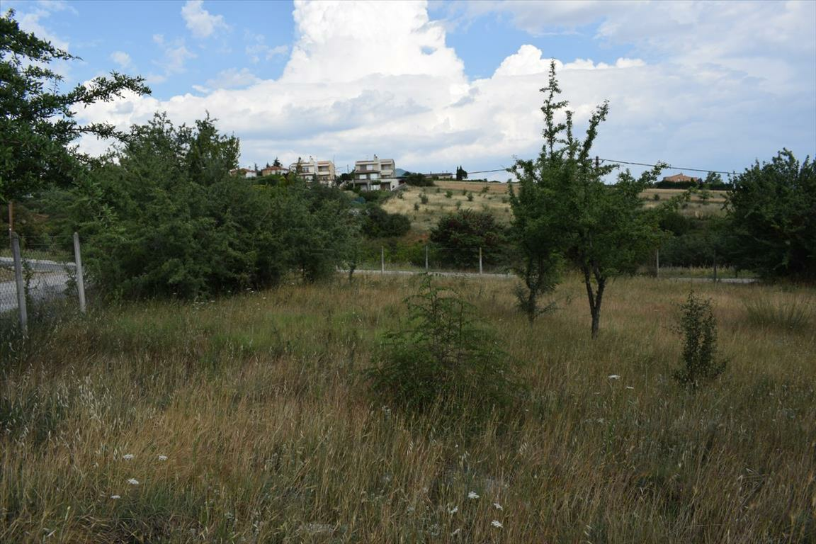 Land In Panorama, Greece