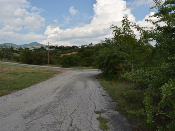 Land In Panorama, Greece