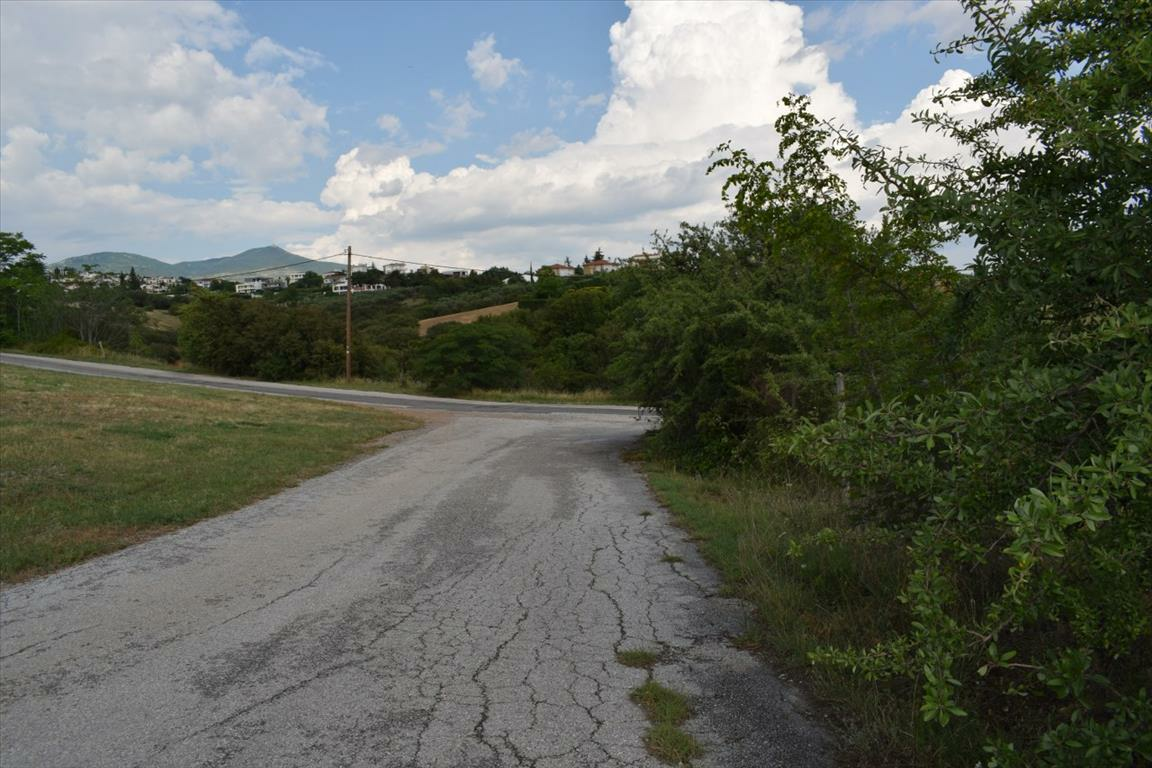 Land In Panorama, Greece
