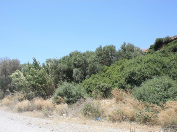 Land In Greece