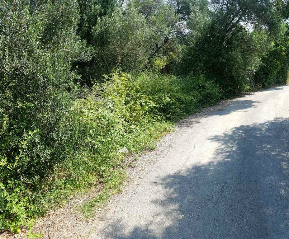 Land In Corfu, Greece