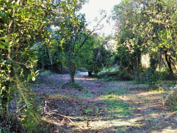 Land In Corfu, Greece