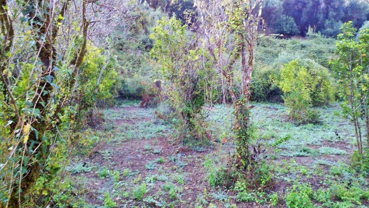 Land In Corfu, Greece