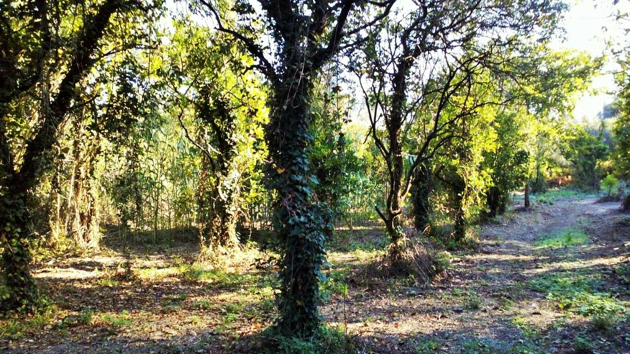 Land In Corfu, Greece