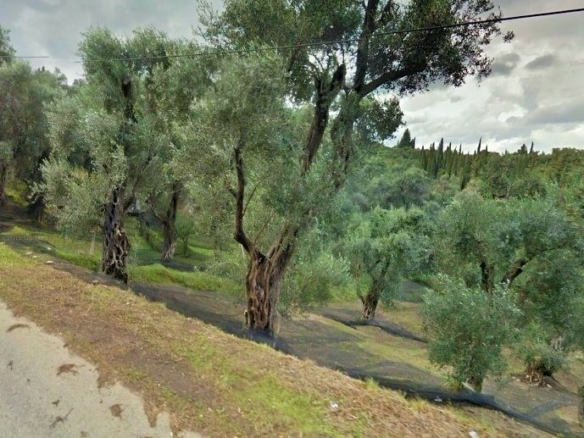 Land In Corfu, Greece