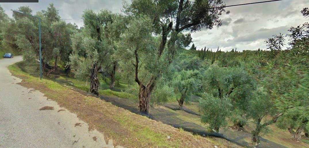 Land In Corfu, Greece
