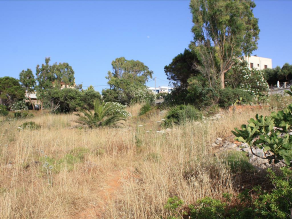 Land In Akrotiri, Greece