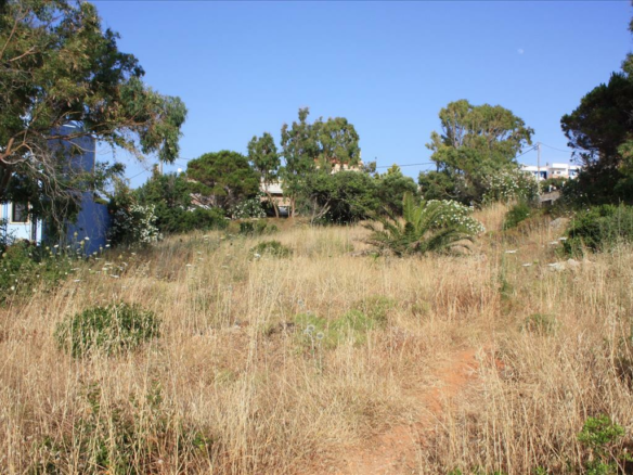 Land In Akrotiri, Greece