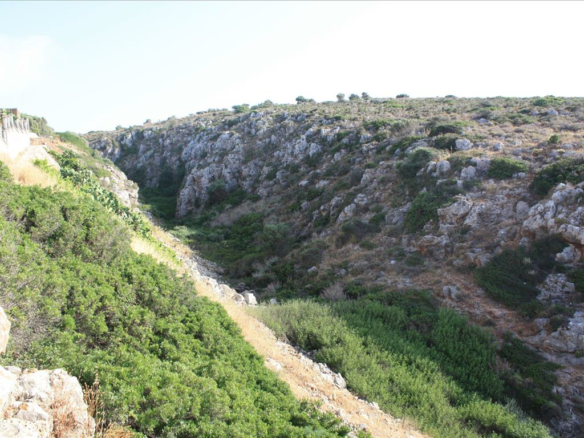 Land In Akrotiri, Greece