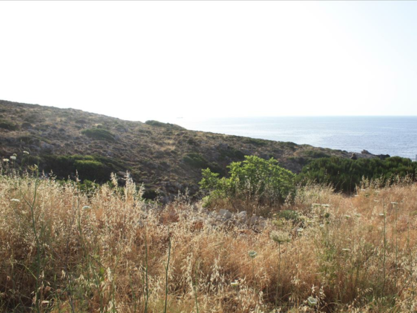 Land In Akrotiri, Greece