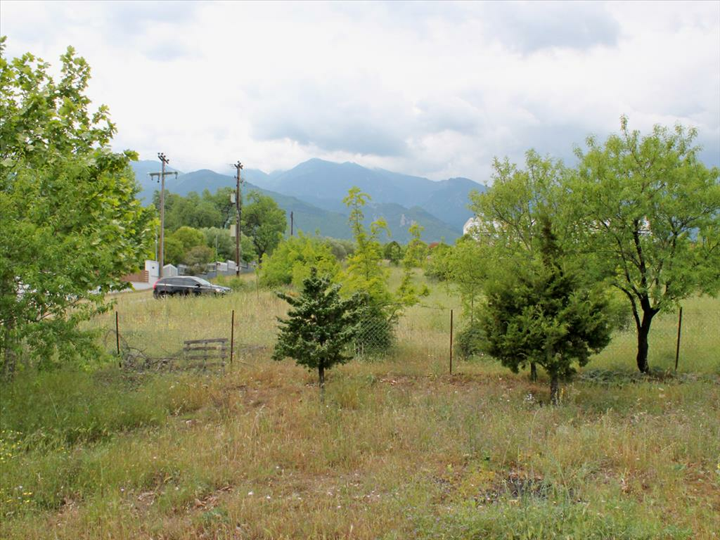 2-bedroom Detached House In Dion, Greece (320 M²)