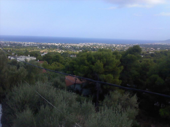Land In Spata, Greece