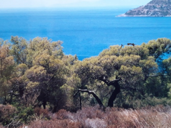 Land In Aegina, Greece
