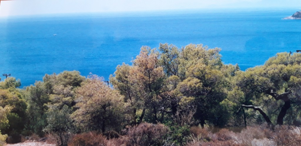 Land In Aegina, Greece