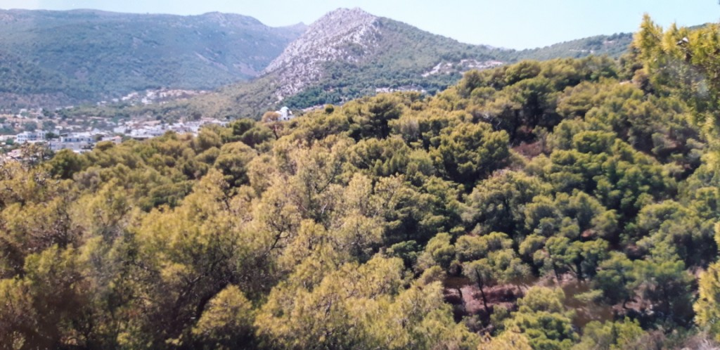 Land In Aegina, Greece