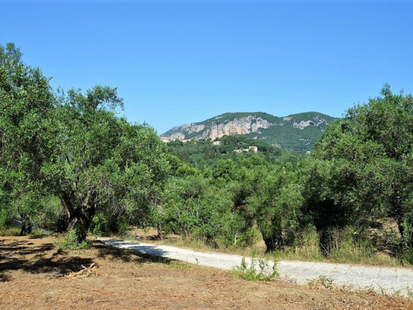 Land In Corfu, Greece