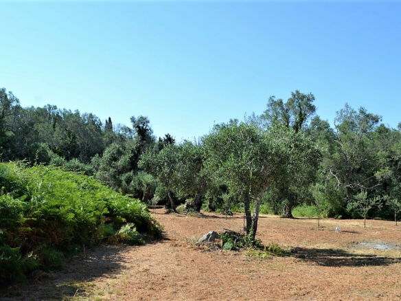 Land In Corfu, Greece