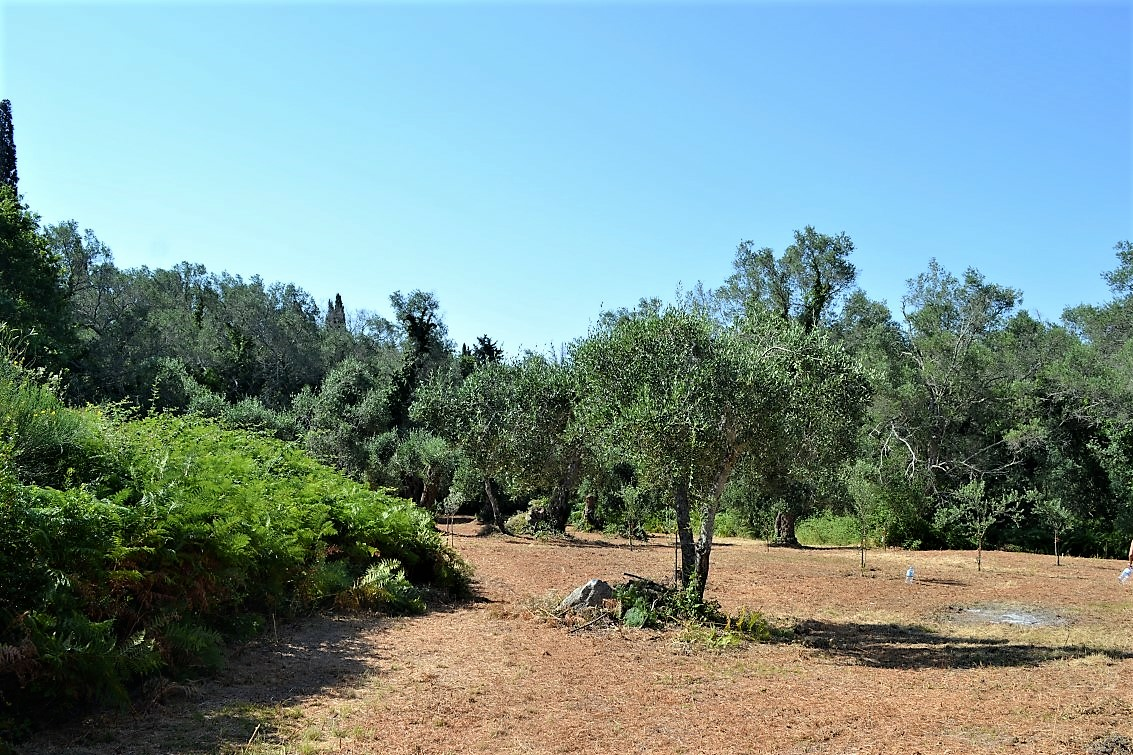 Land In Corfu, Greece