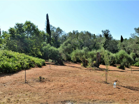 Land In Corfu, Greece