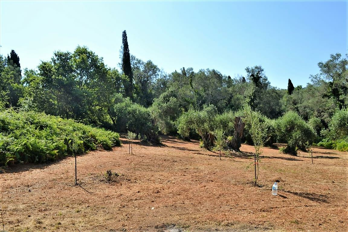 Land In Corfu, Greece