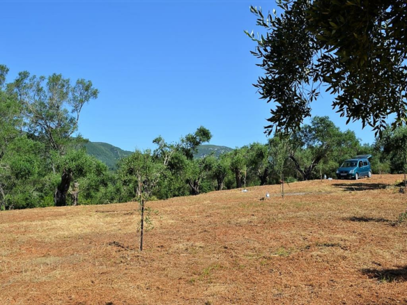 Land In Corfu, Greece