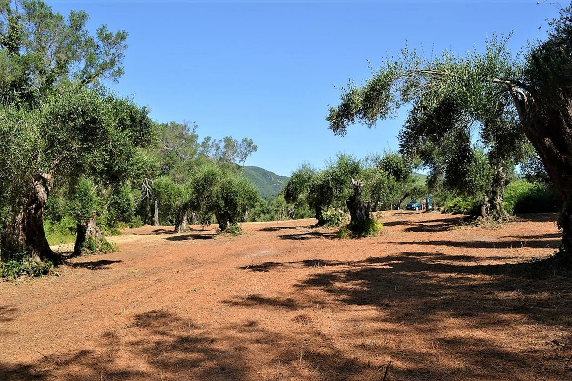 Land In Corfu, Greece