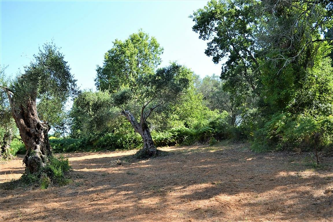 Land In Corfu, Greece