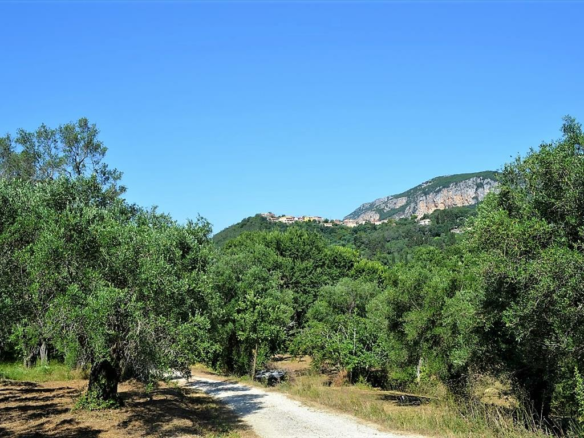 Land In Corfu, Greece