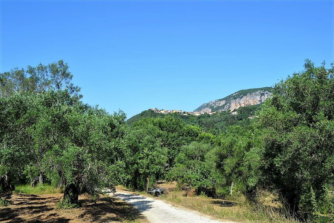 Land In Corfu, Greece