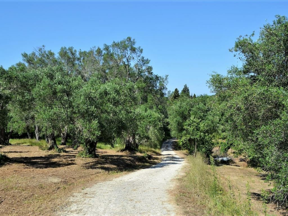 Land In Corfu, Greece