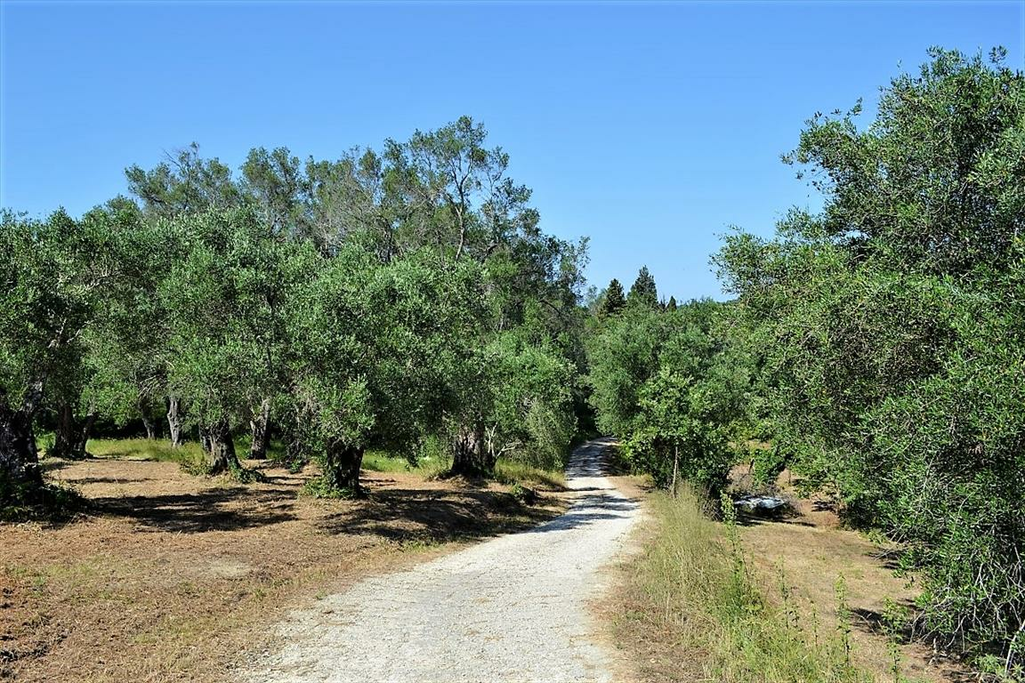 Land In Corfu, Greece