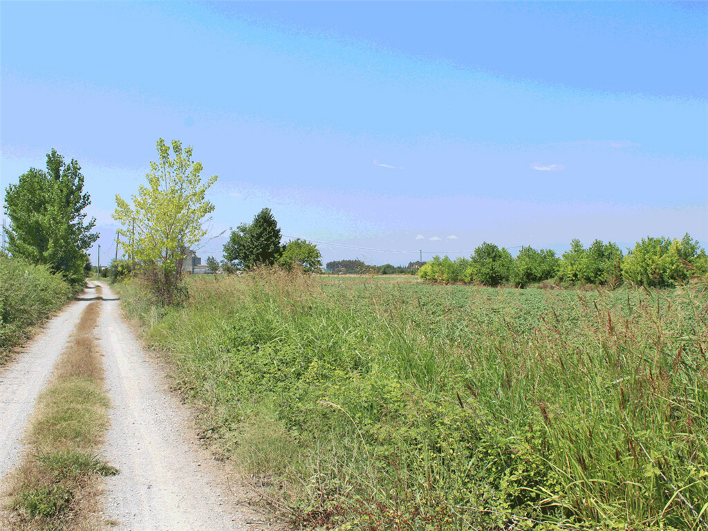 Land In Katerini, Greece