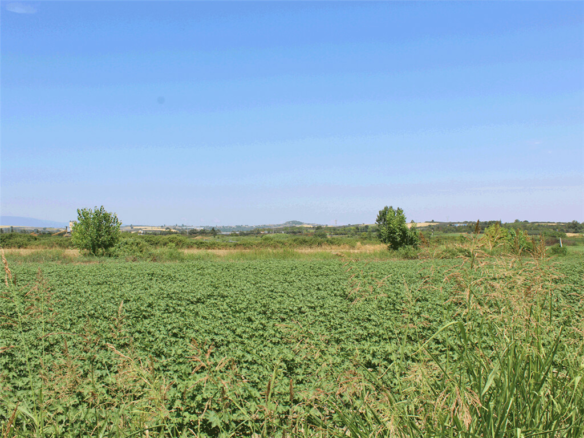 Land In Katerini, Greece