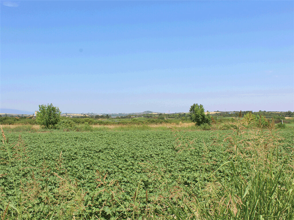 Land In Katerini, Greece