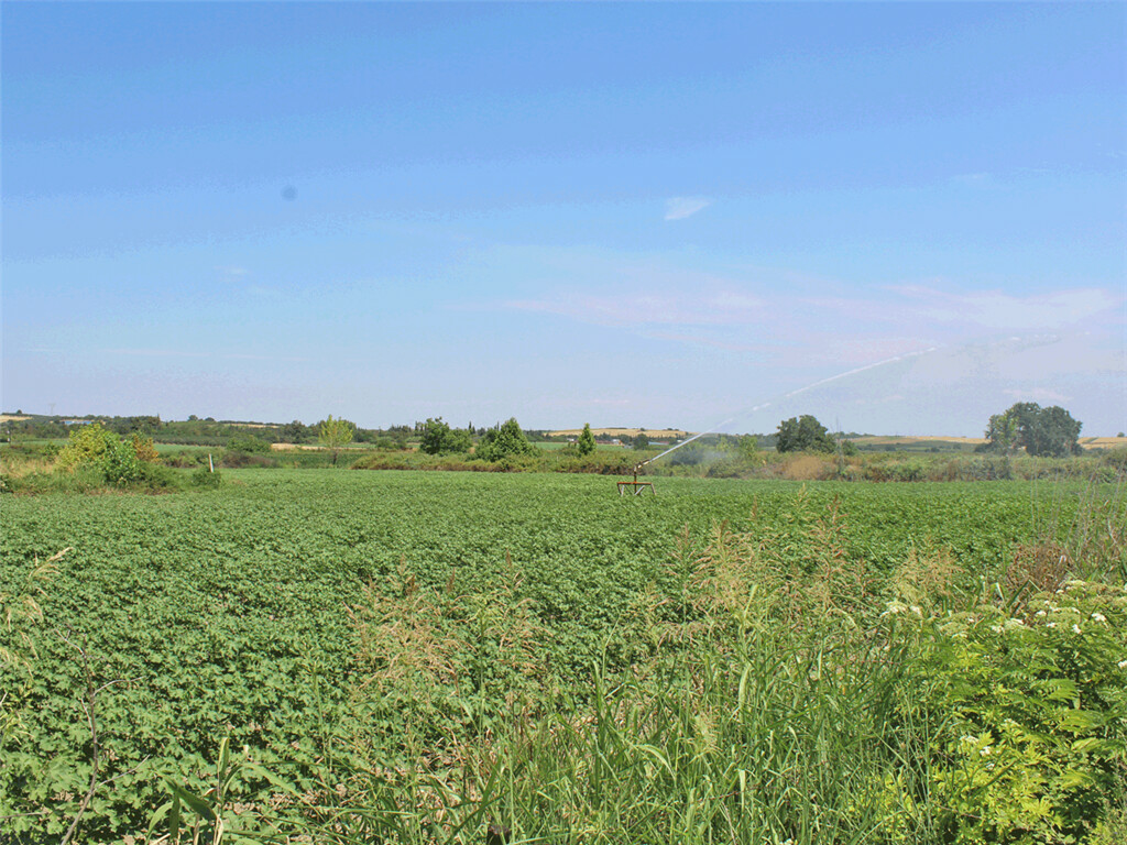 Land In Katerini, Greece