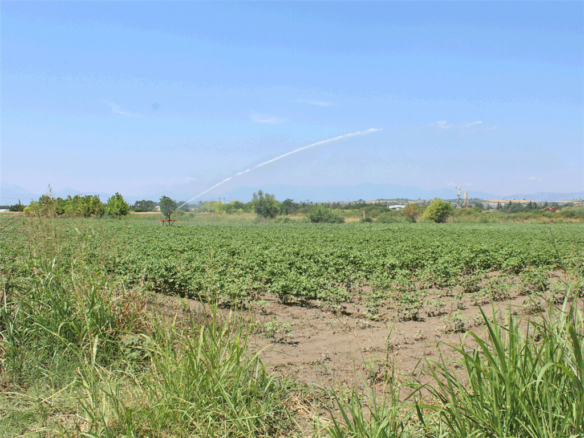 Land In Katerini, Greece