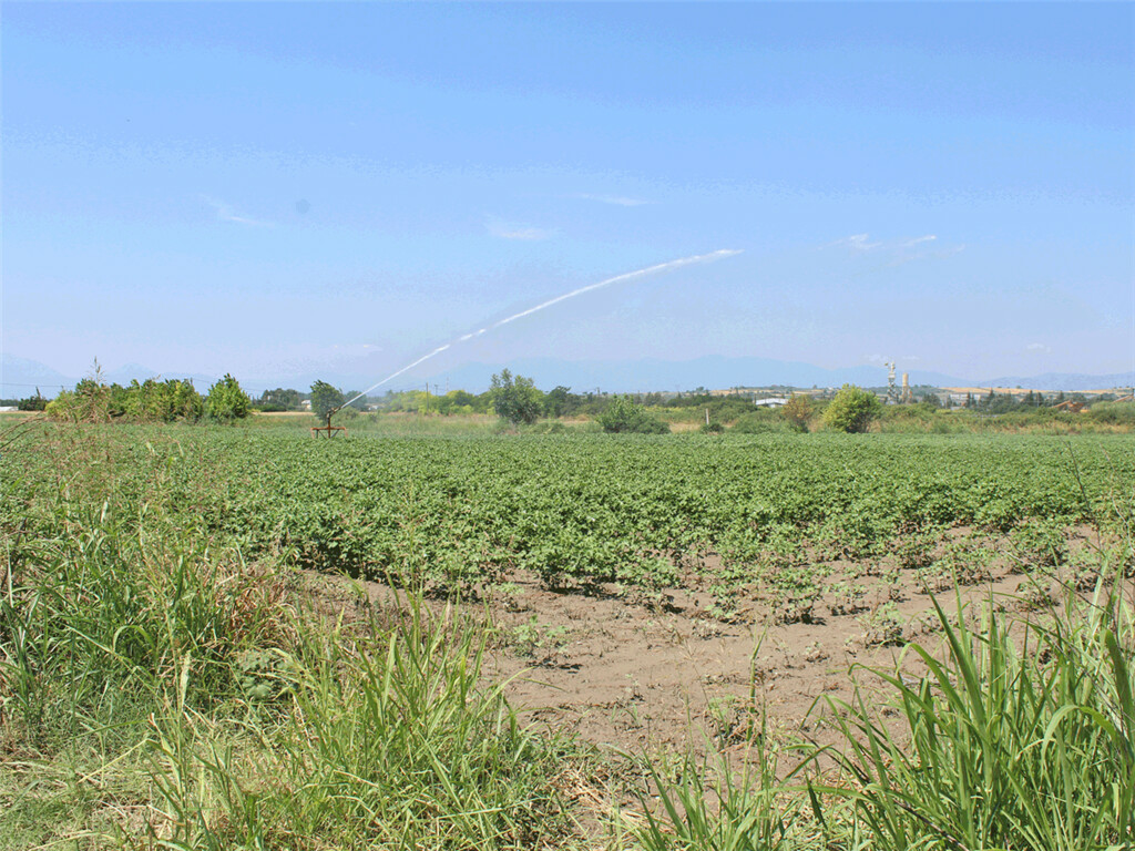 Land In Katerini, Greece