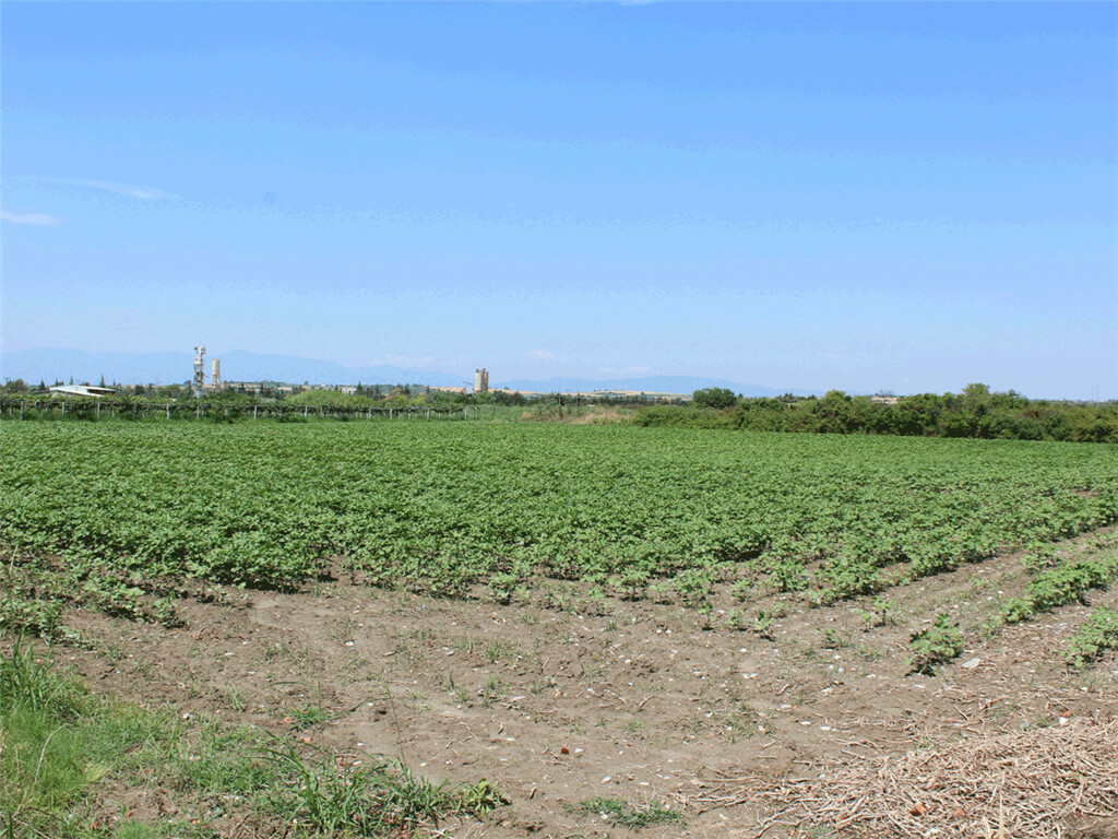 Land In Katerini, Greece