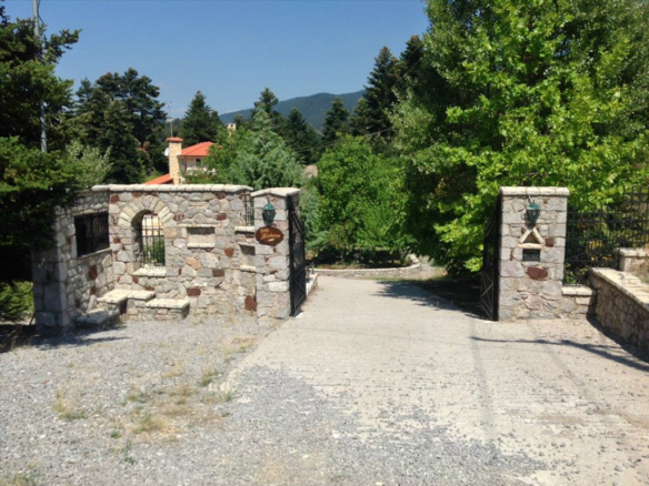 Business In Arachova, Greece (234 M²)