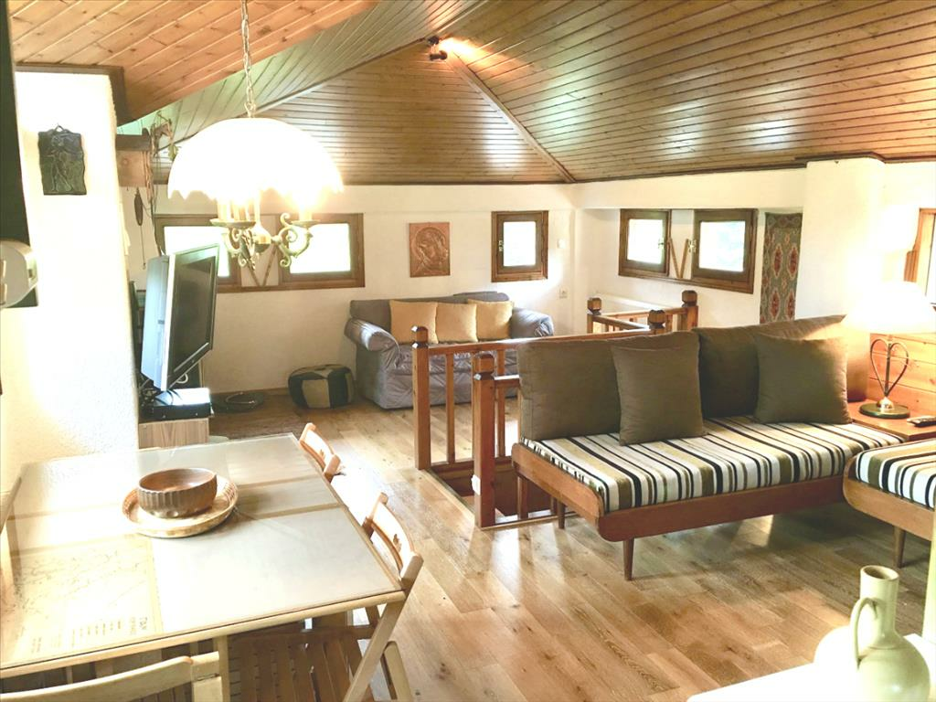 Business In Arachova, Greece (234 M²)